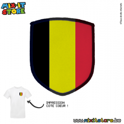 Ecusson brodé blason...